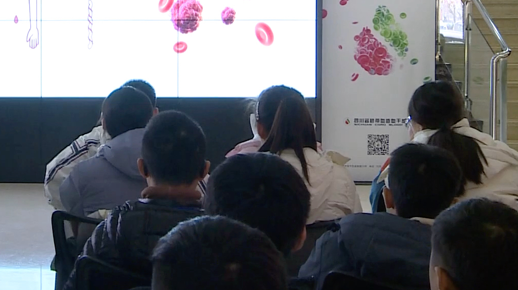 价格虚高、货不对板……研学游该如何避坑