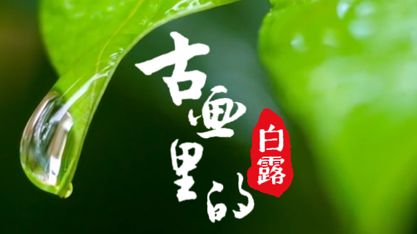 节气成都｜当AI遇上古画，带你邂逅诗情画意的白露