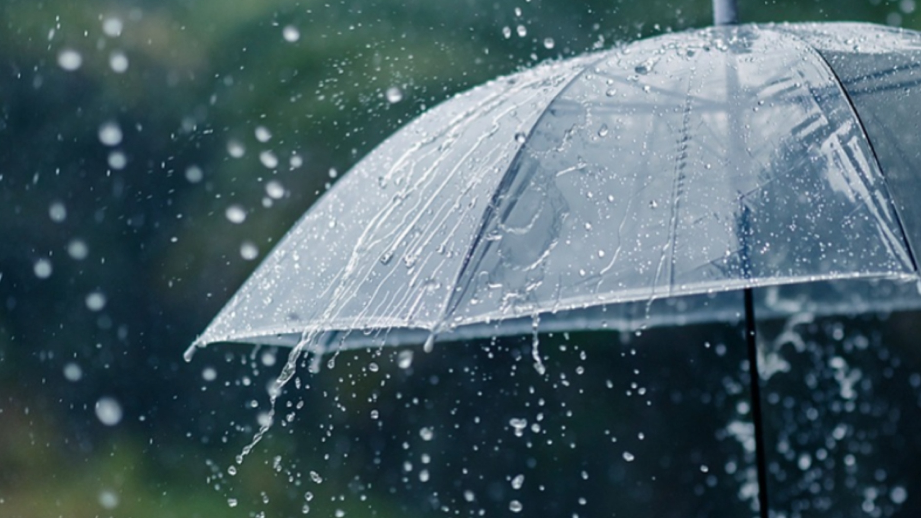 出门注意带伞  今明两天本轮降雨进入最强时段
