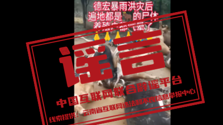 今日辟谣（2025年8月29日）