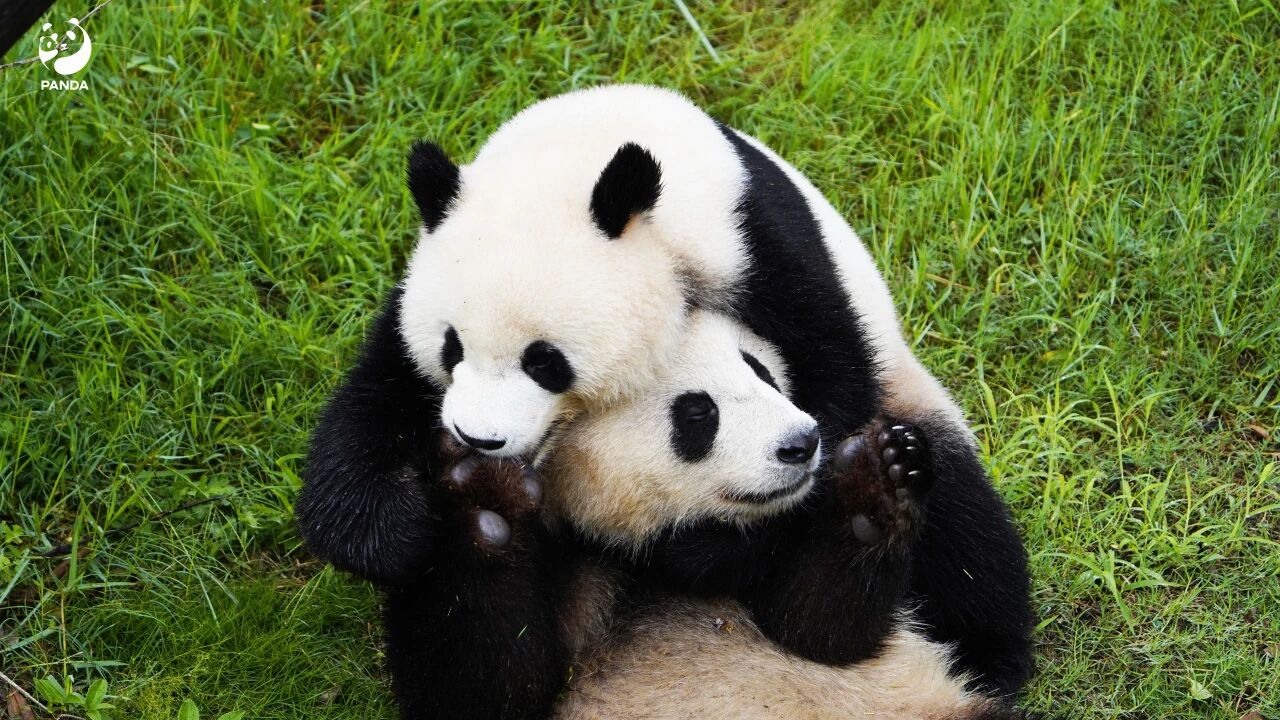 f547bb12dd09923d4613dc2821e0ce75.jpg f547bb12dd09923d4613dc2821e0ce75.jpg