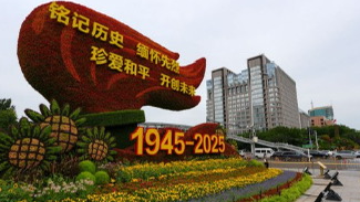 人民日报任仲平文章：正义必胜 和平必胜 人民必胜