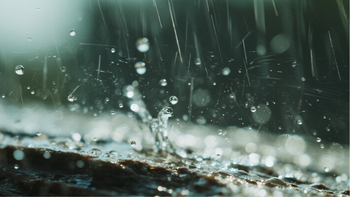 四川发布暴雨蓝色预警！成都等8市州有暴雨，局部大暴雨