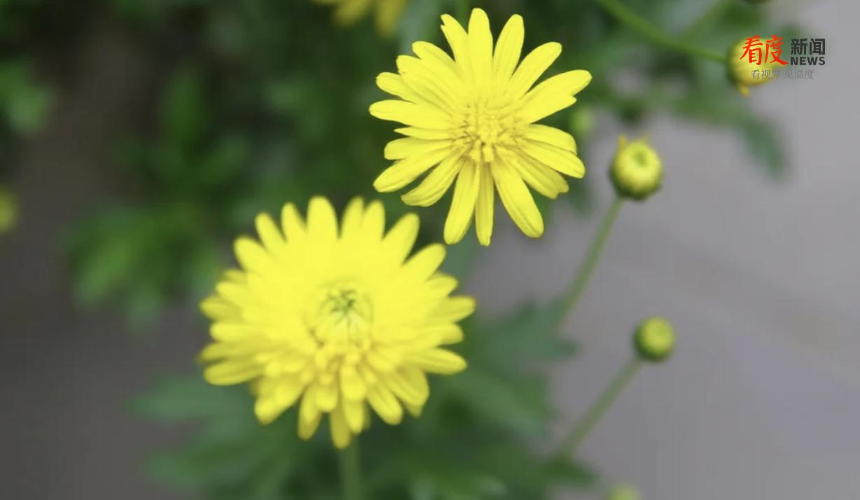 e711e9b758394842bd5ac09fa191e01f.png e711e9b758394842bd5ac09fa191e01f.png