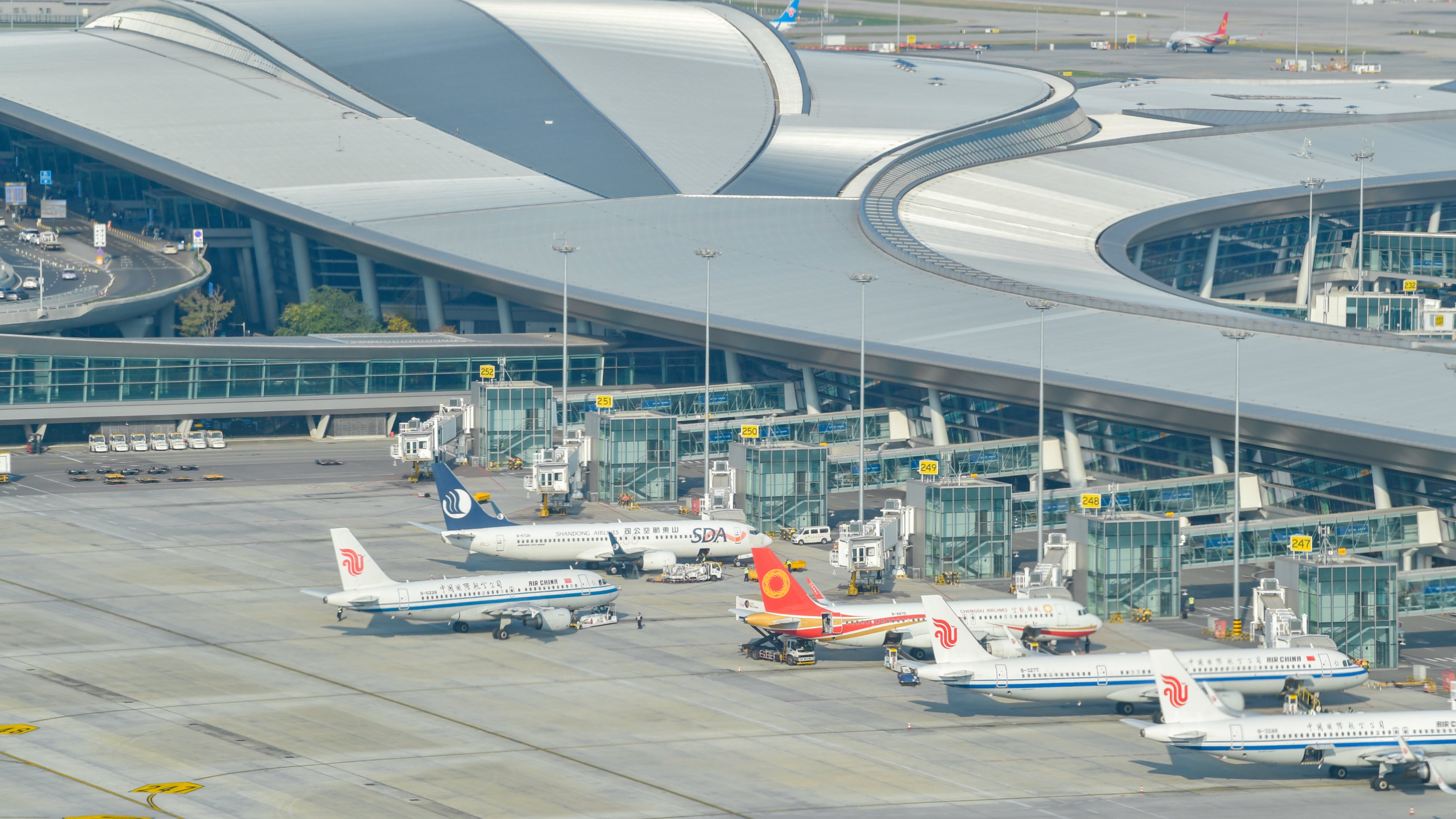 已上线预售！马来西亚航空明年1月恢复成都航线