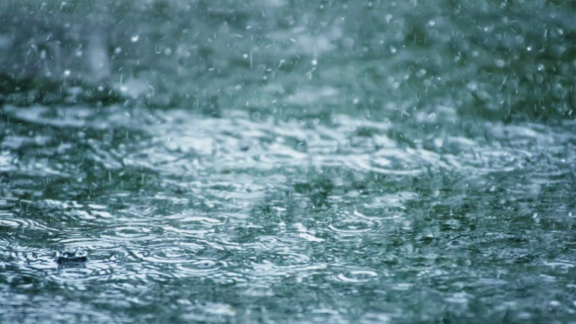 台风“塔巴”靠近粤西 国家海洋预报台发布双预警