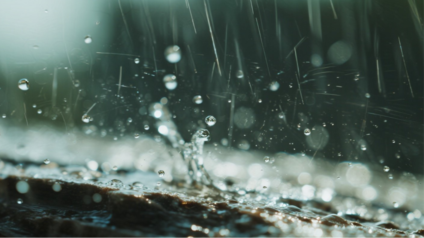 台风+暴雨双预警 这些地方要注意防范