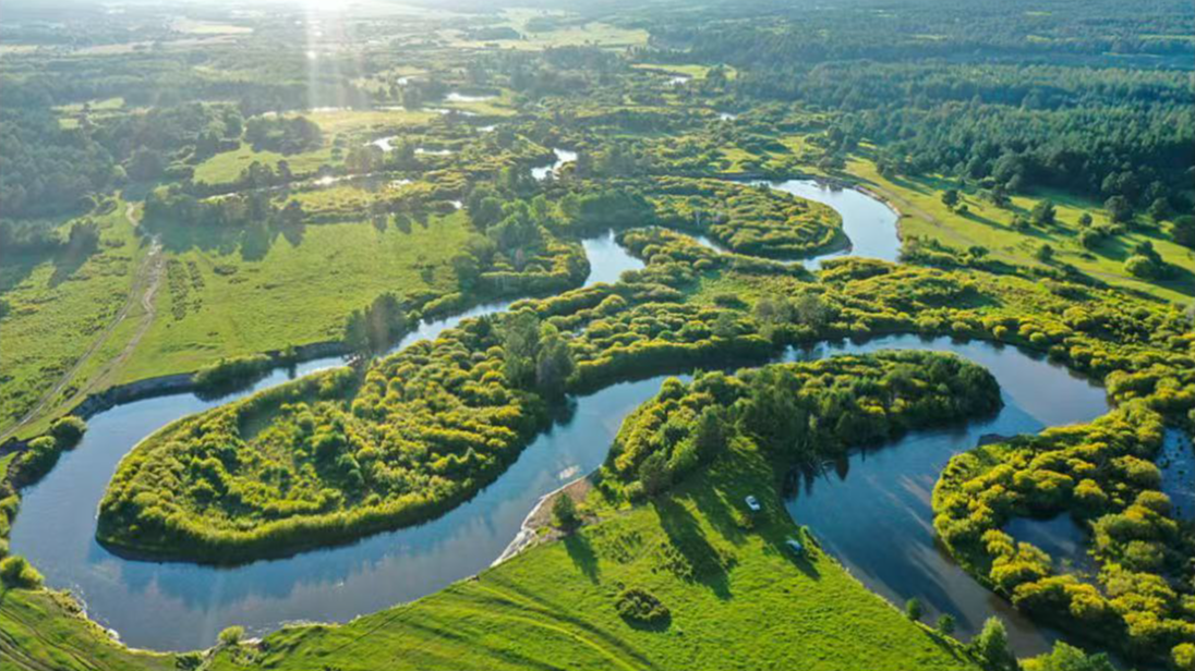 截至2024年底耕地面积19.4亿亩 我国自然资源家底更厚实