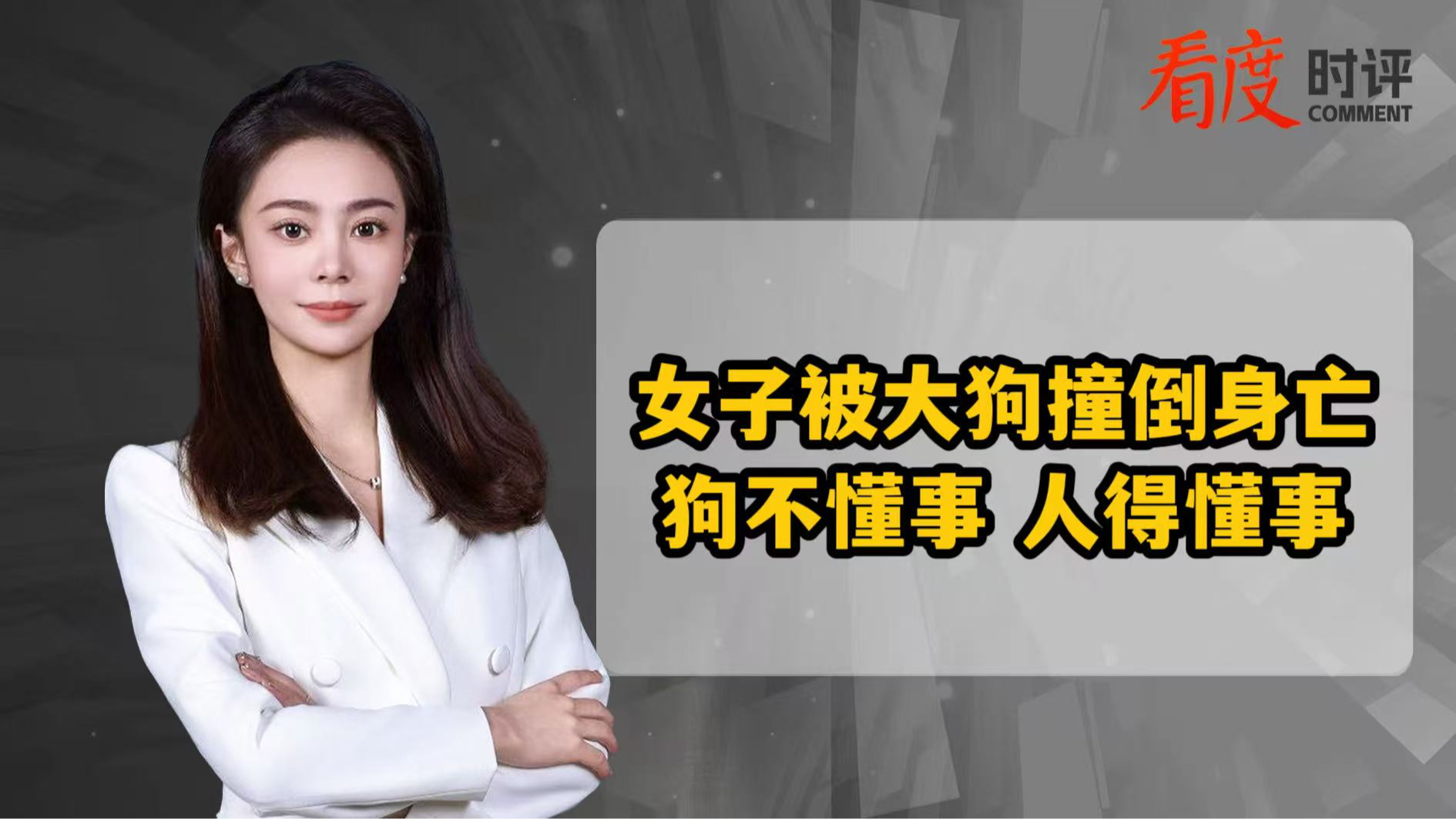 时评｜女子被大狗撞倒身亡  狗不懂事 养狗的人得懂事
