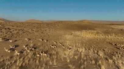 国家公园法明年施行 将带来哪些改变？专家解读