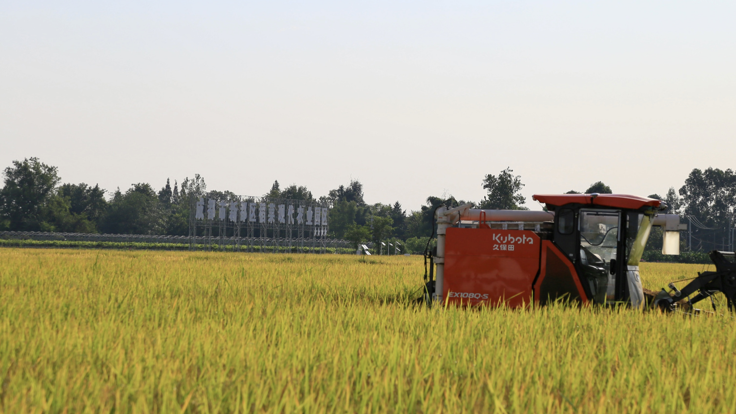 全国夏粮收购超1亿吨