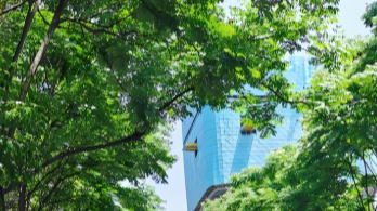 今晚雨后，成都开启“阶梯式”升温模式