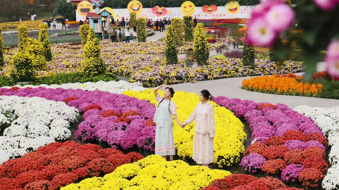 赏花、追光、看雪山…国庆8天咋个玩？8条成都“寻美景”路线安排！