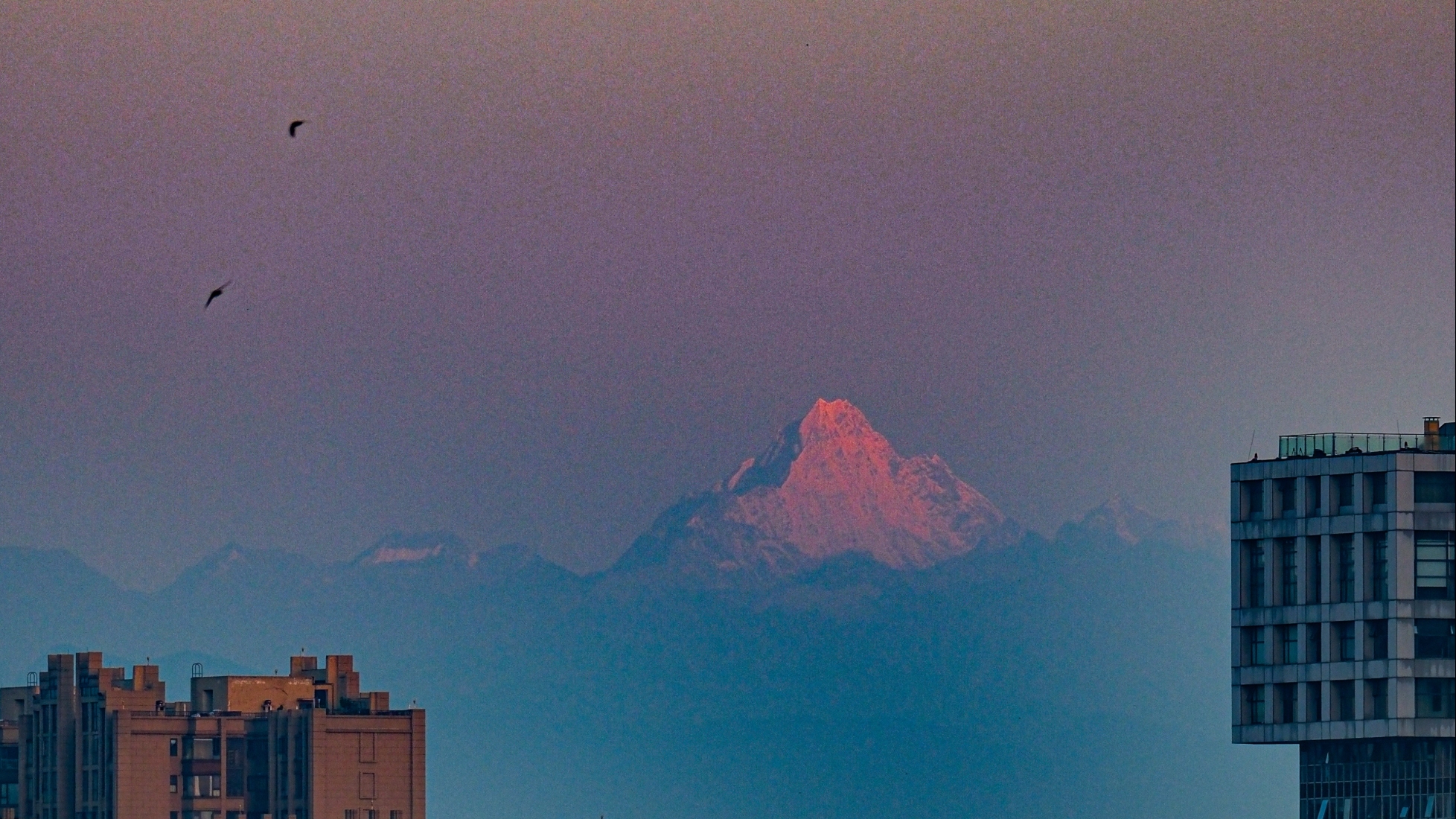 “日照金山”绝美返场！成都上演初秋限定版浪漫