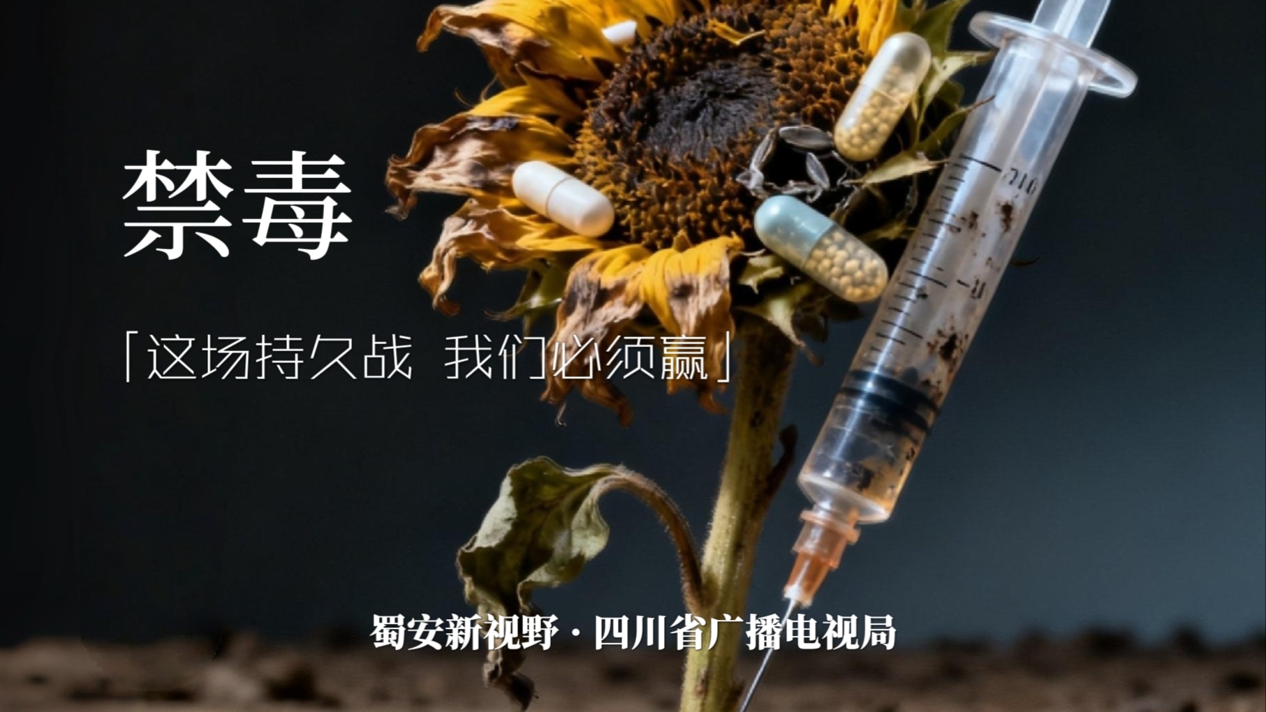 禁毒持久战，我们必须赢！|蜀安新视野第一季②