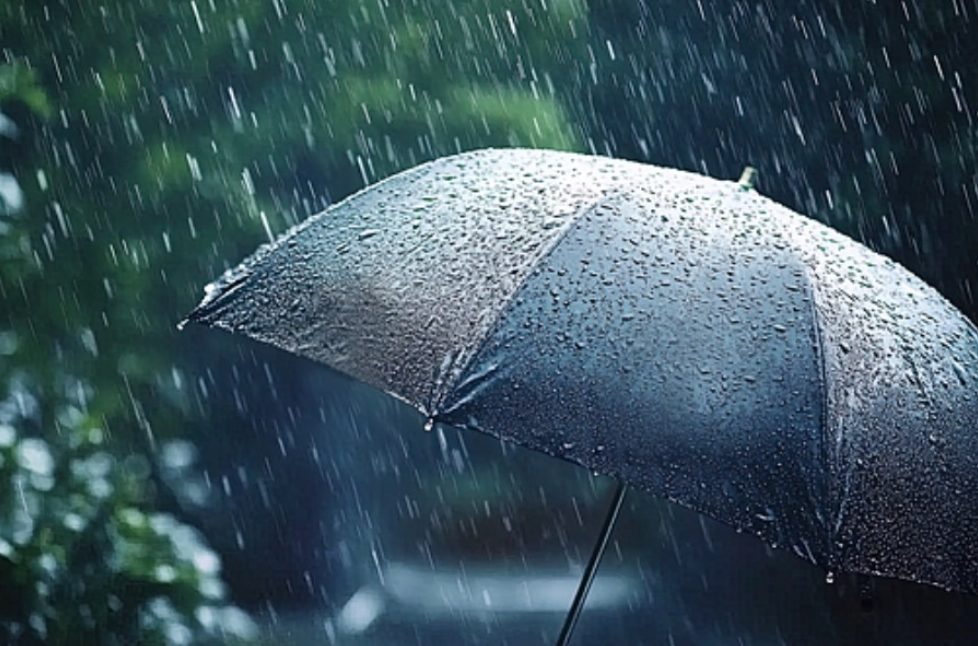 “桦加沙”二次登陆广西北海沿海 广西多地发布停课、停运通知！