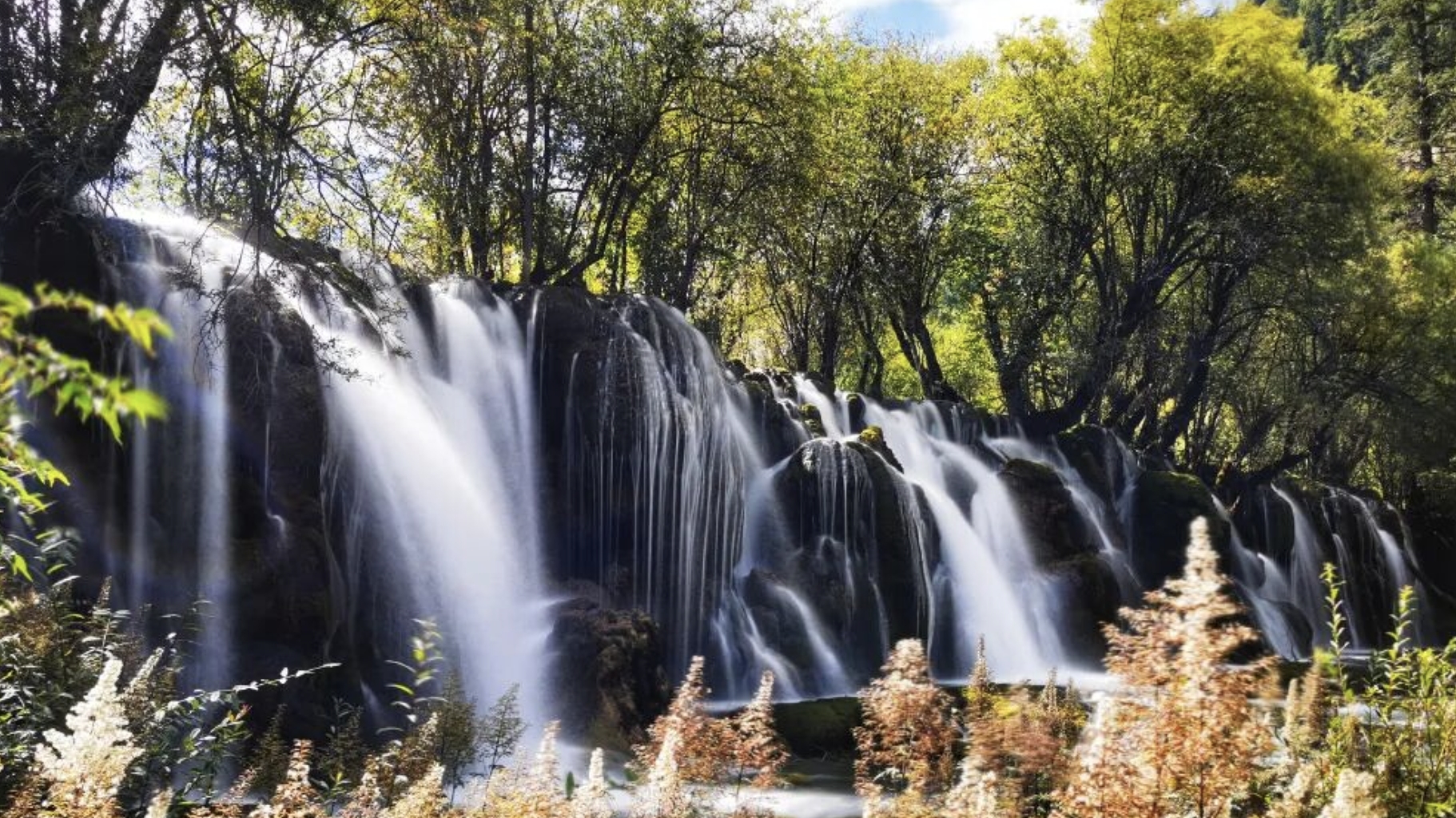 “双节”游成都必看！多个热门景区特定时段门票已售罄，部分时段仍有余票