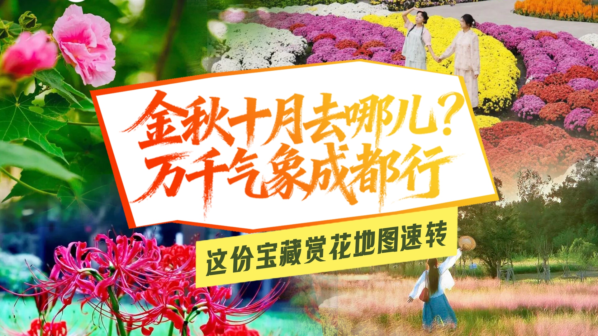 走！“趣”成都｜假期最后一天！这份宝藏赏花地图速转