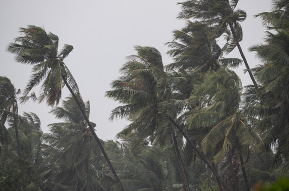 国家防总针对广东、海南启动防汛防台风四级应急响应并派出工作组
