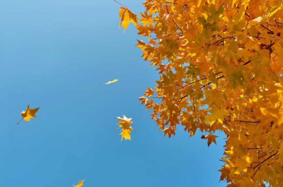 华西秋雨持续四川陕西等地警惕次生灾害 江南华南热得同期少见