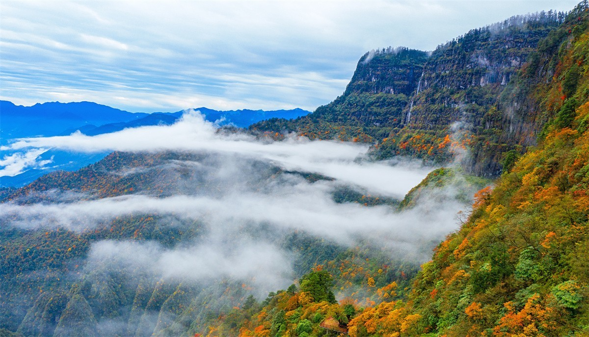 免票！四川多个景区官宣