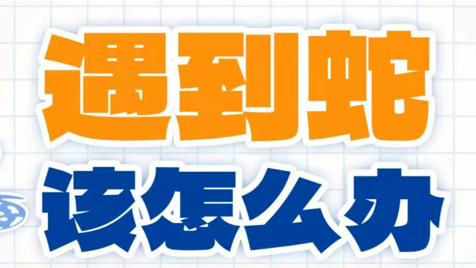 驴友爬山捡幼蛇轮流抚摸，专家：剧毒！