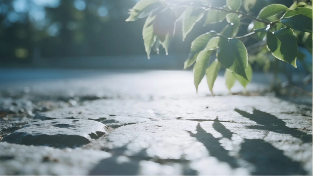 冷空气南下！未来一周，成都气温稳定在“1”字头