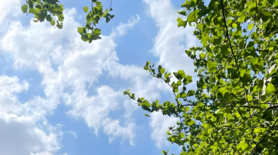 成都热得穿短袖！四川这些地方都要下雪了→