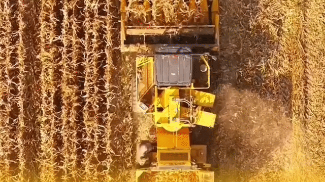 我国秋粮收获已过六成