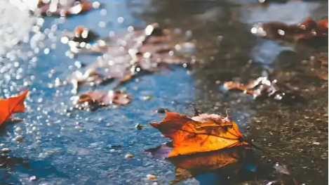 外套备好！未来三天，成都最高温度将降至18℃