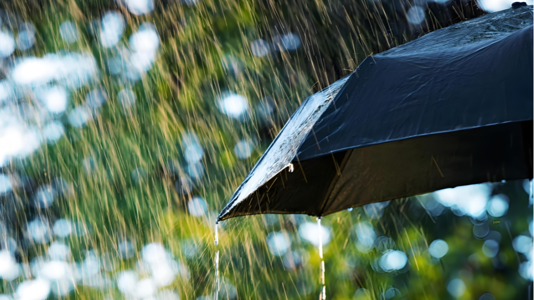 断崖式降温来了！未来一周，成都最低气温降至10℃