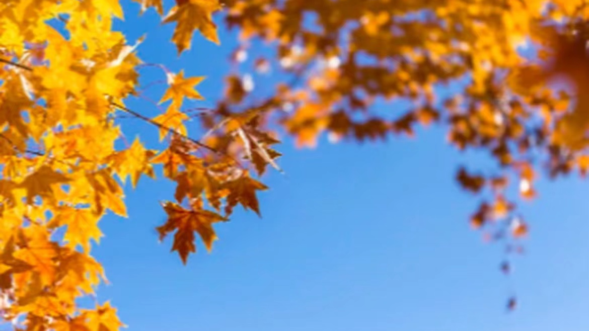 不是错觉！秋天真的在变短