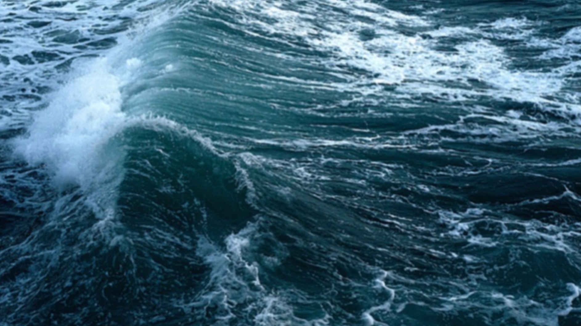 受强冷空气和台风影响 国家海洋预报台发布海浪、风暴潮双预警