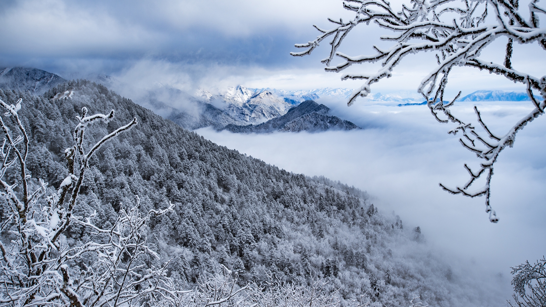今年会出现极寒冷冬吗？