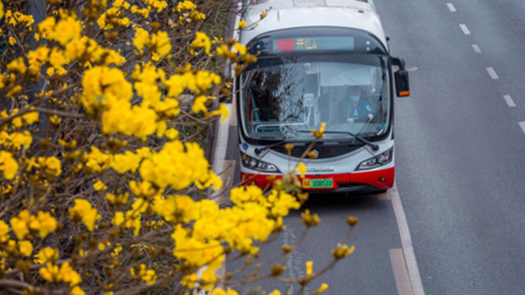 2025成马即将开跑，本周日成都公交出行有变化！