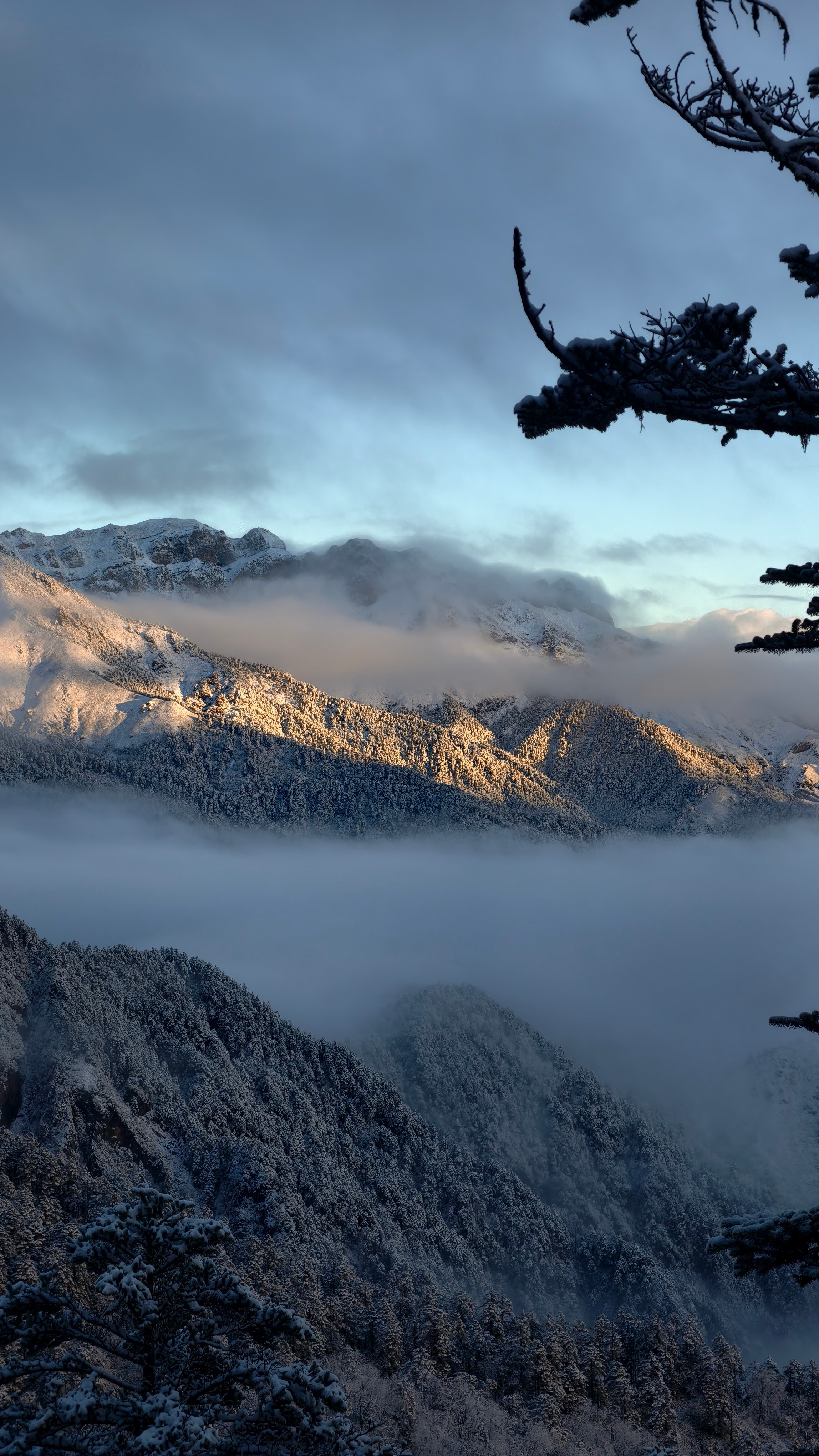 d1f34f57a592715465bda62c6df3e093.jpg d1f34f57a592715465bda62c6df3e093.jpg