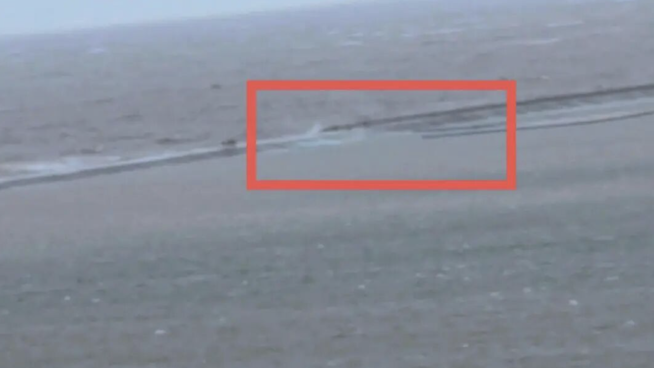 江苏启东“观光车事故”致4人遇难 相关责任人已被警方控制