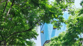 小雨收尾！成都要升温了，最高重回20℃+