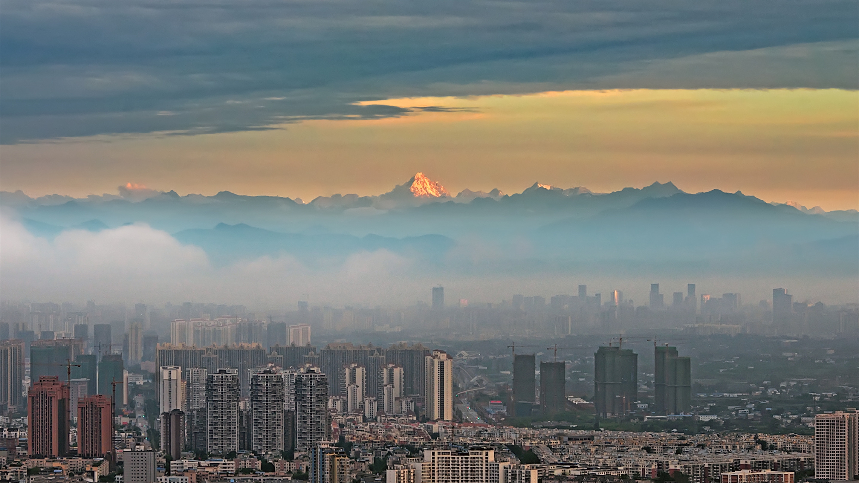 成都，营商环境年度创新城市！