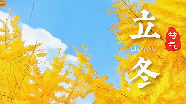 节气成都 | 掉入色彩元宇宙！AI带你穿越成都立冬的斑斓画卷