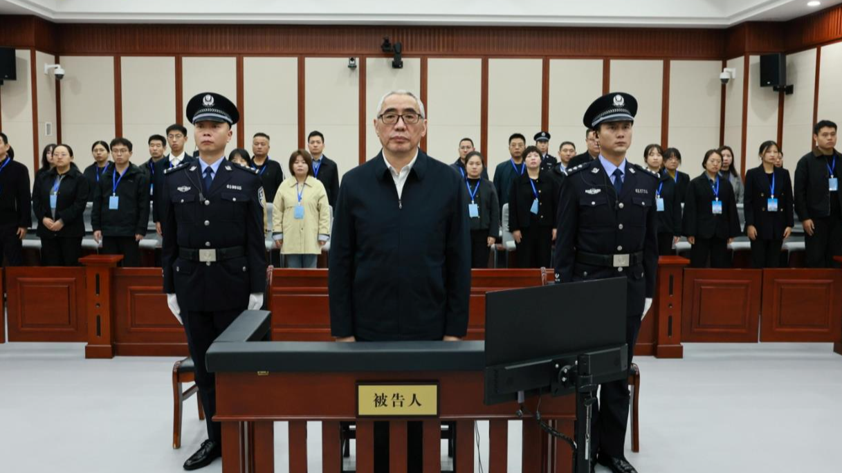 受贿数额特别巨大 甘肃省原副省长杨子兴一审被判有期徒刑14年