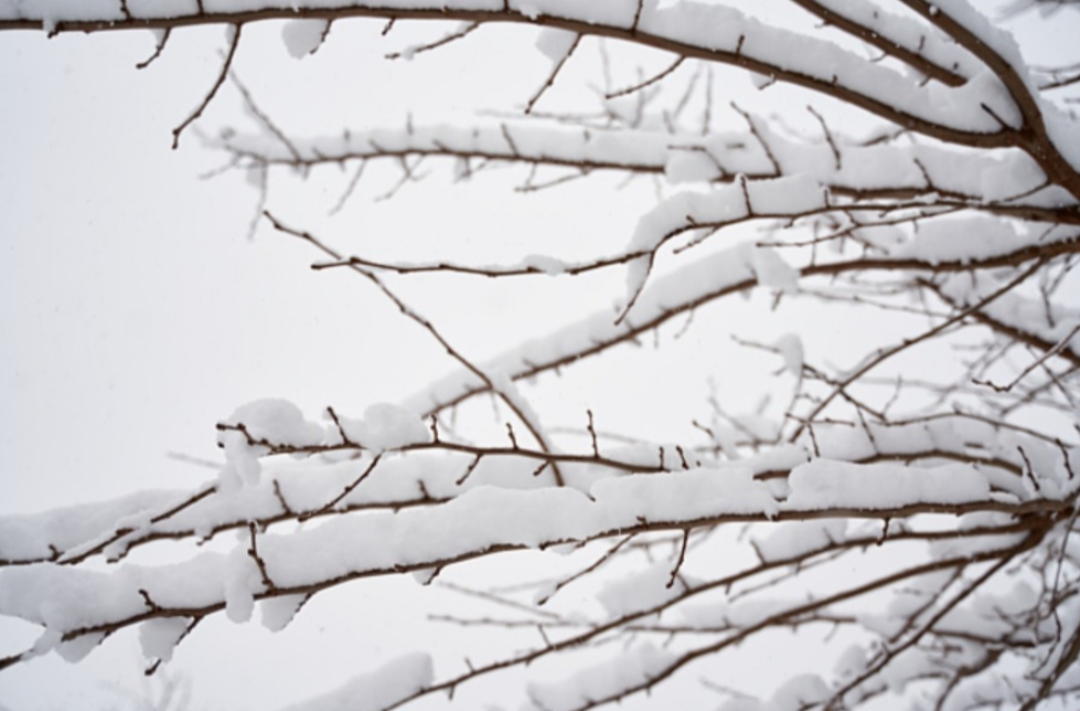 暴雪蓝色预警！川西高原等地部分地区有大到暴雪 西藏局地大暴雪