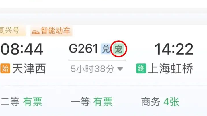 12306购票页面出现“宠”字，咋回事？