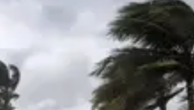 今年第25号台风“海鸥”生成 最新路径公布