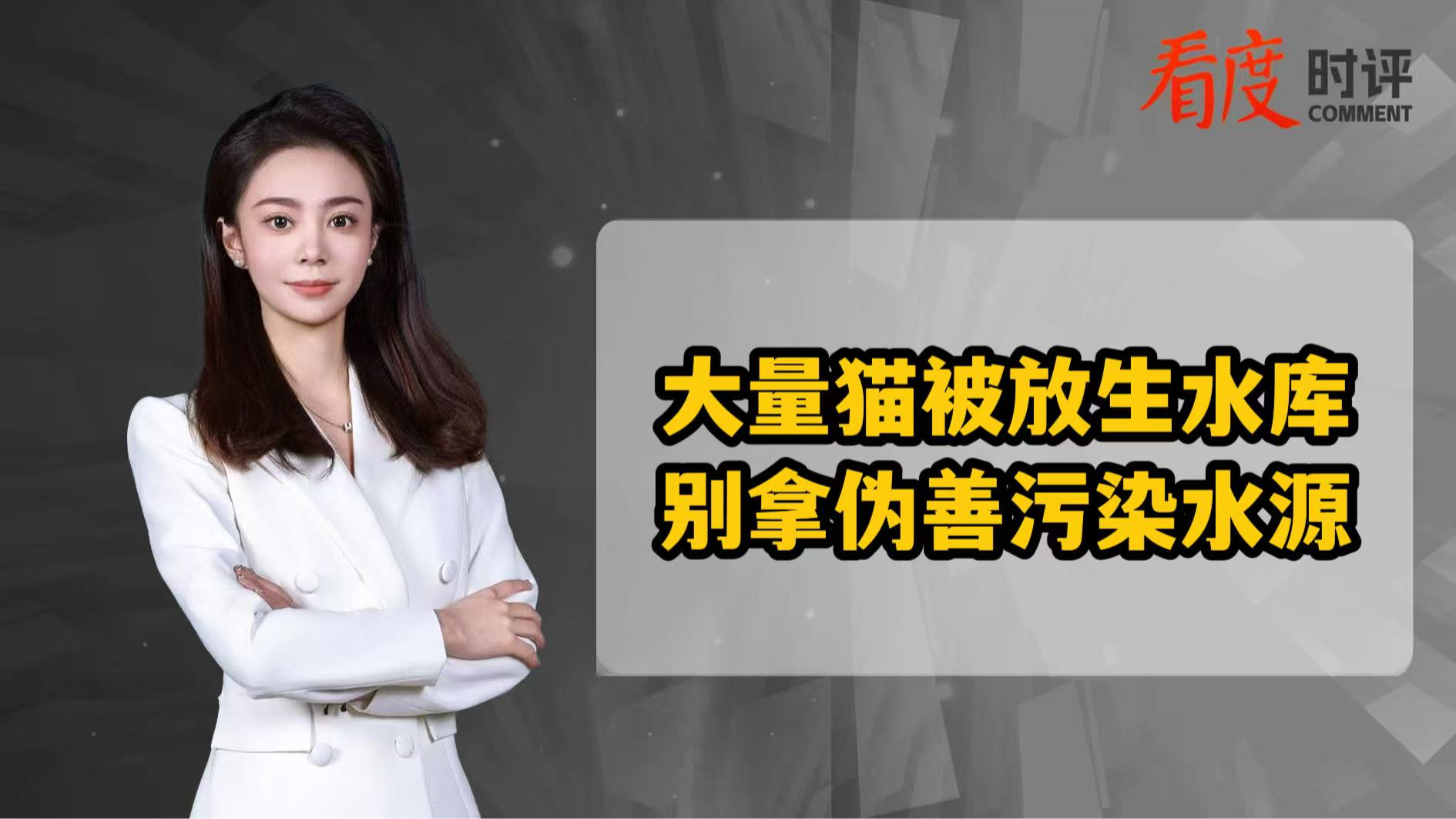 时评｜大量猫被放生水库 别拿伪善污染水源！