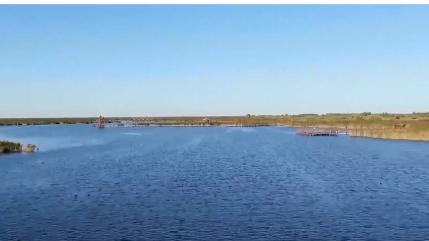 “十五五”时期，生态环境领域的重点着力方向是什么？专家解读