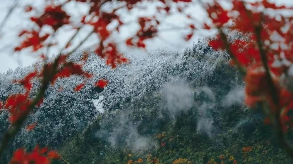 “秋假”来了！四川这些景区免门票
