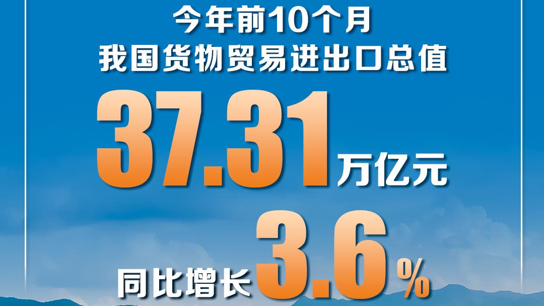 同比增长3.6% 前10个月我国货物贸易进出口平稳增长