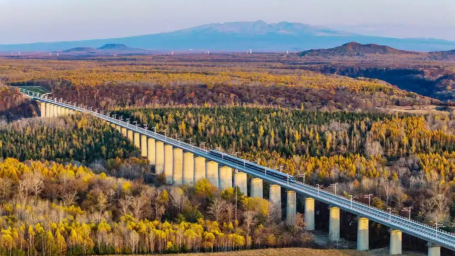 火车票打折力度加大！最低4折，涉及1300余趟动车组列车