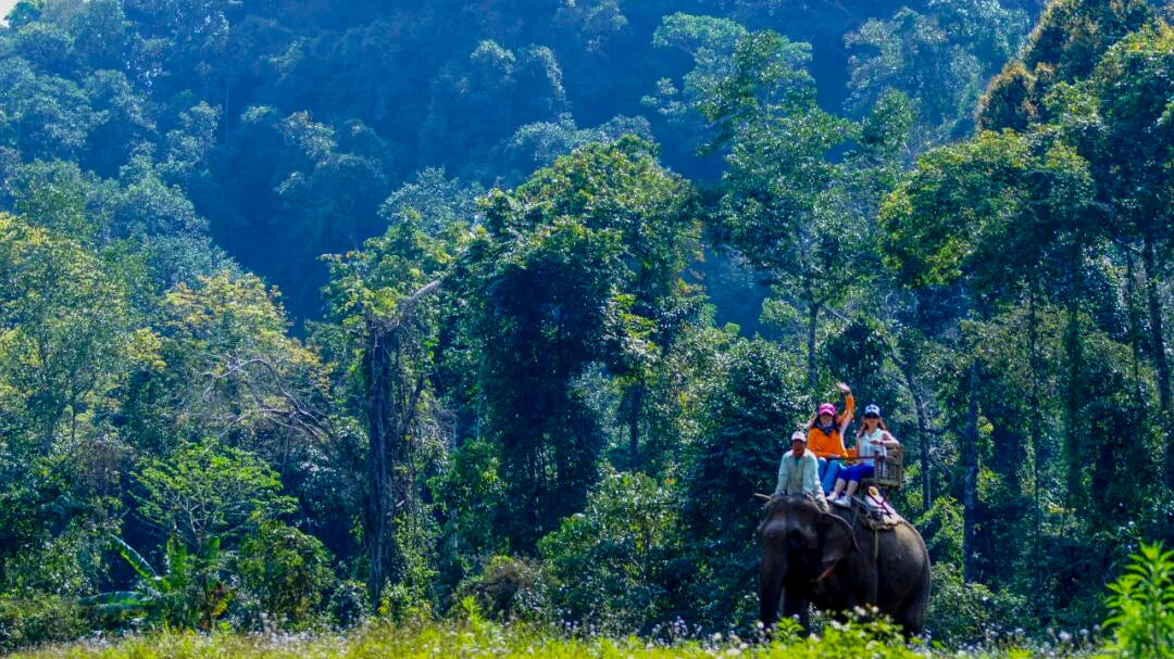 川渝黔直达云南，上车就能享受福利